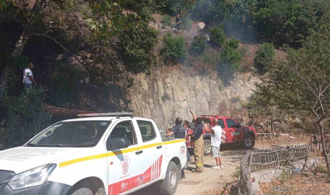 Balıkesir’in Erdek ilçesinde ormanlık alanda çıkan yangın, itfaiye ve orman