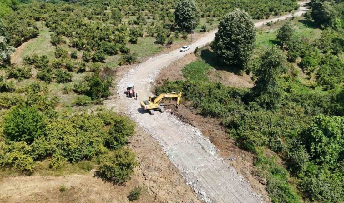 Sakarya’nın Erenler ilçesi genelindeki kırsal mahallelerde yol açma, bakım, onarım
