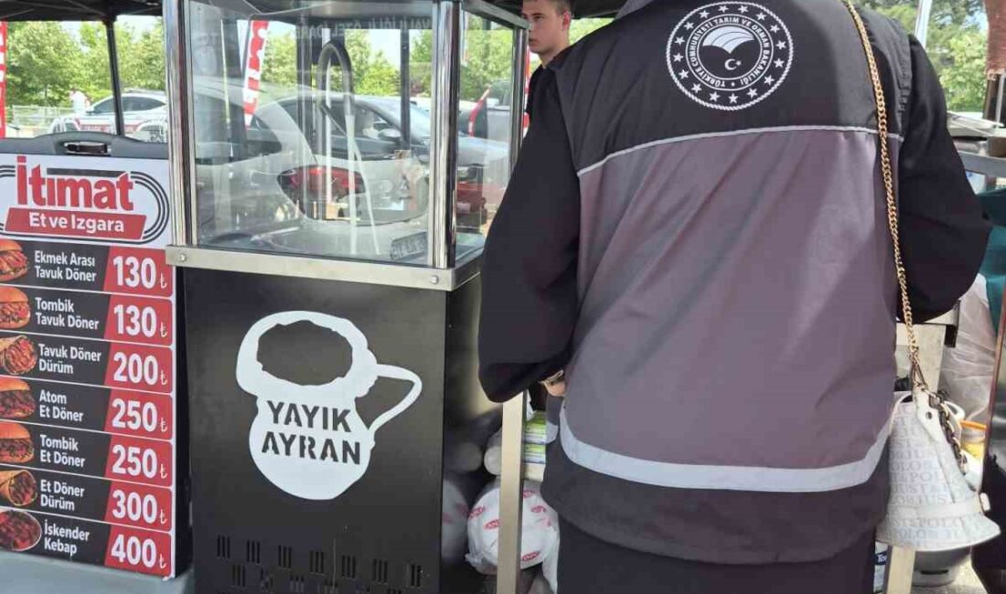 Festival alanındaki işletmelere sıkı gıda denetimi Bilecik’te Pelitözü Göleti’nde düzenlenen Gölpark Fest 2026 kapsamında hizmet veren