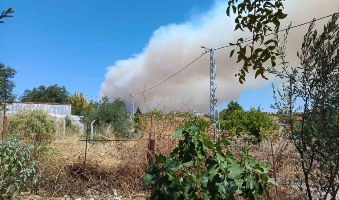 Balıkesir’de orman yangını Balıkesir’in Gömeç ilçesinde, Atatürk Kayalıkları yakınlarında bulunan Kumgedik ve Hacıhüseyinler