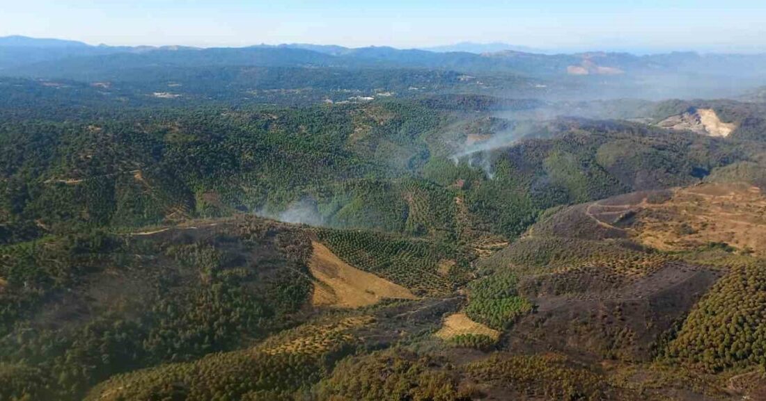 Balıkesir’in Gömeç ilçesinde 3’üncü günde devam eden orman yangını alanında