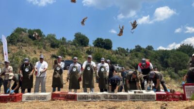 Havran’ da, doğal yaşamın korunması ve biyolojik çeşitliliğin desteklenmesi amacıyla