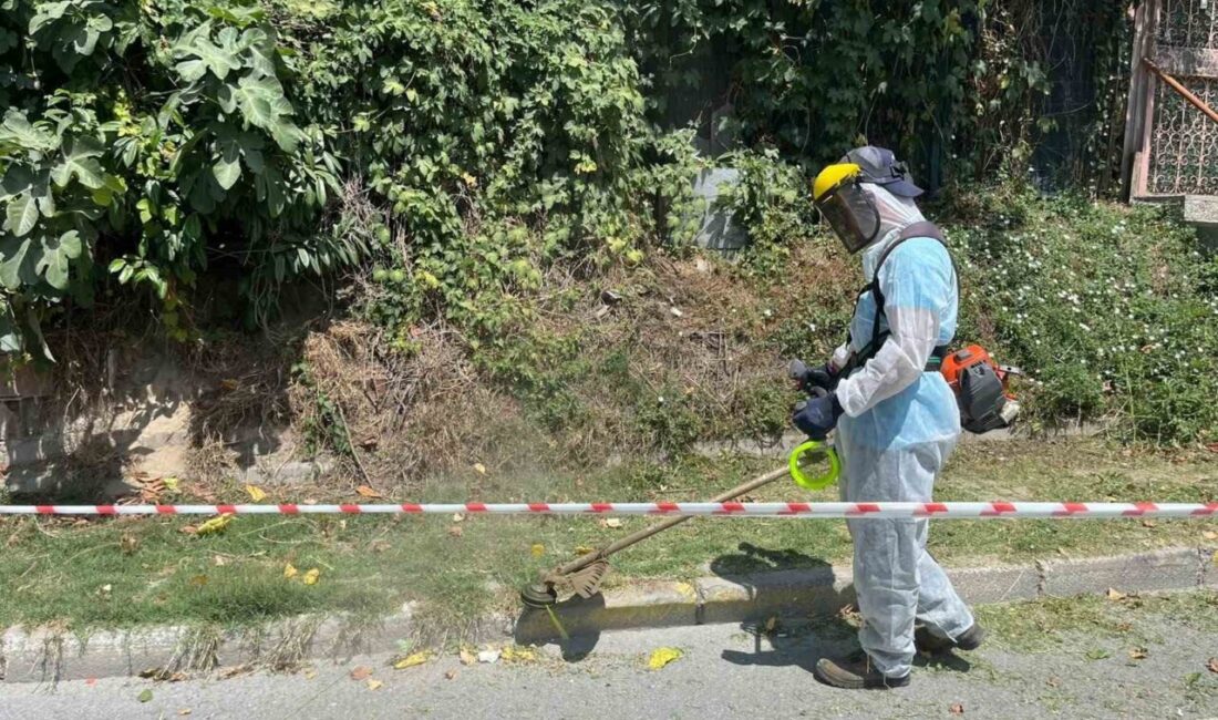 Beykoz’da İstanbul Büyükşehir Belediyesi’nin (İBB) sorumluluğunda bulunan cadde ve kaldırımlarda
