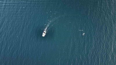 Marmara Denizi’nde balık sezonunun hareketliliği sürerken, Beylikdüzü açıklarında tekne ile