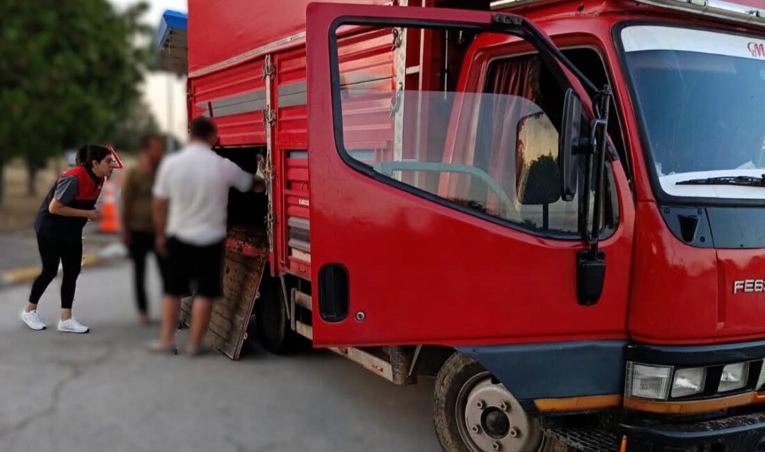 Kırklareli’nde kaçak hayvan sevki gerçekleştiren şüpheliler hakkında 175 bin lira