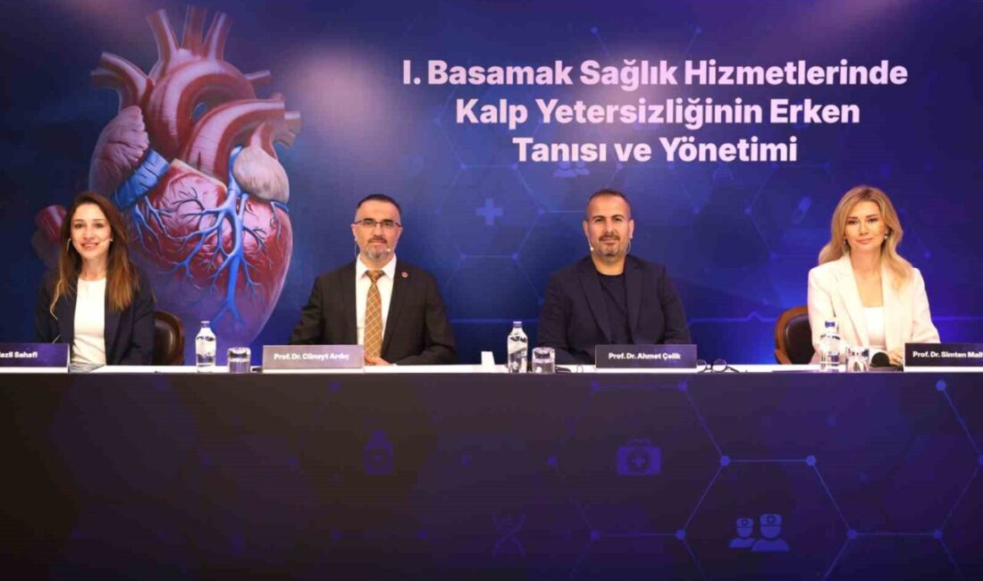 Roche Diagnostik Türkiye’nin katkılarıyla hazırlanan ekonomik değerlendirme analizinde, kalp yetersizliğinin