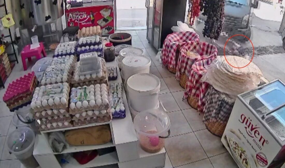 Bursa’nın Osmangazi ilçesinde ara sokağa dönüş yapan UPS kargo şirketine