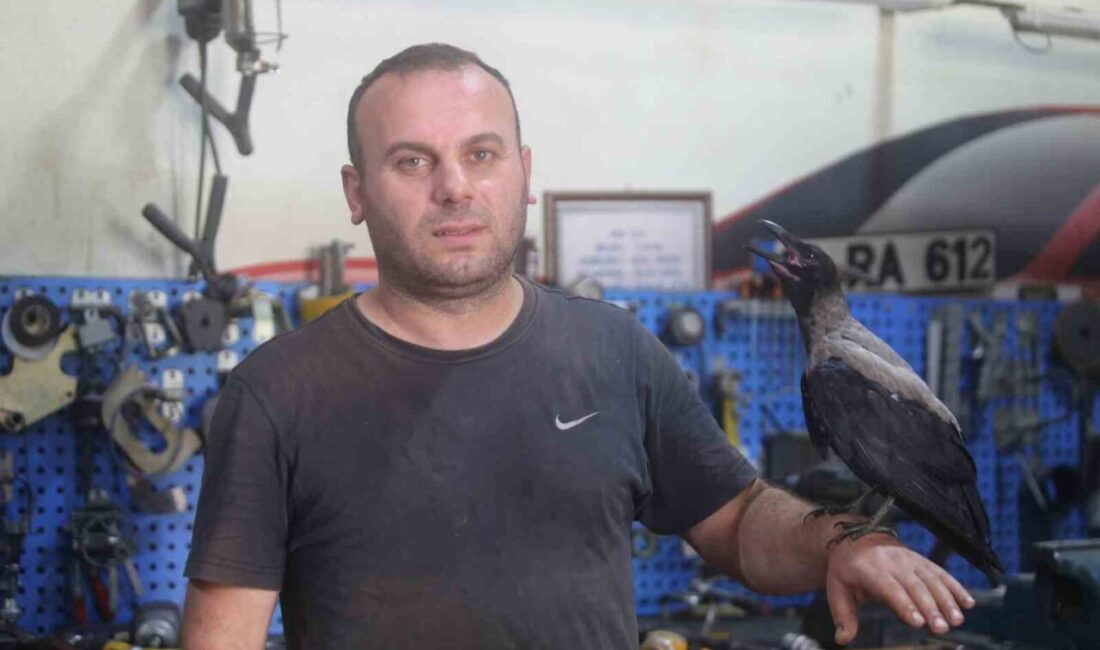 Bursa’da otomobil tamircisi Murat Güney’in 3 ay önce yaralı halde