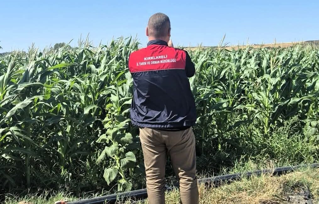 Kırklareli’nin Lüleburgaz ilçesinde tarım arazilerinin güncel kullanım durumlarının belirlenmesi amacıyla
