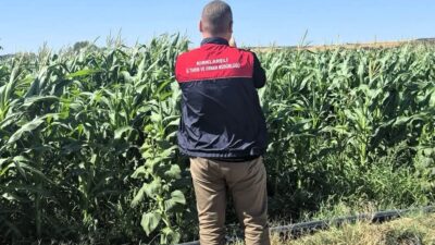 Kırklareli’nin Lüleburgaz ilçesinde tarım arazilerinin güncel kullanım durumlarının belirlenmesi amacıyla