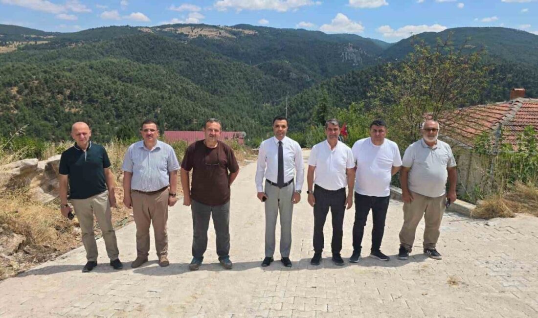 Köylerde parke taşı döşeme çalışmaları sürüyor Bilecik’in Söğüt ilçesine bağlı Akçasu ve Borcak köylerinde parke taşı