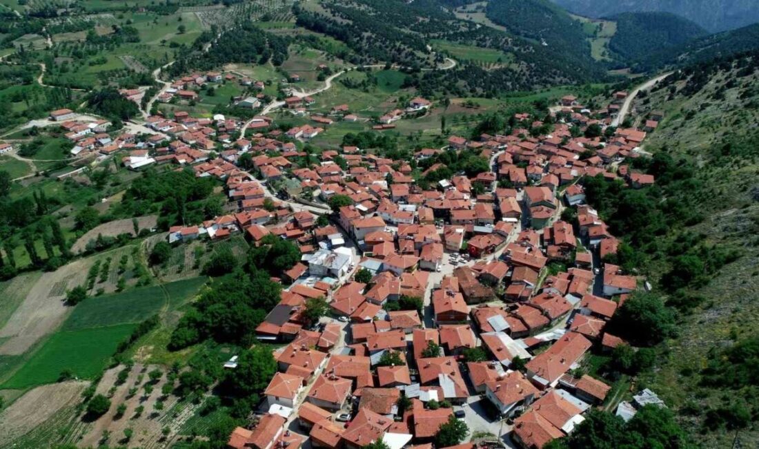 Köylülerin ürettiği peynir coğrafi işaret tescili aldı Bursa’nın Keles ilçesinde kurulu Sorgun Köyü Tarımsal Kalkınma Kooperatifi’nce yıllardır