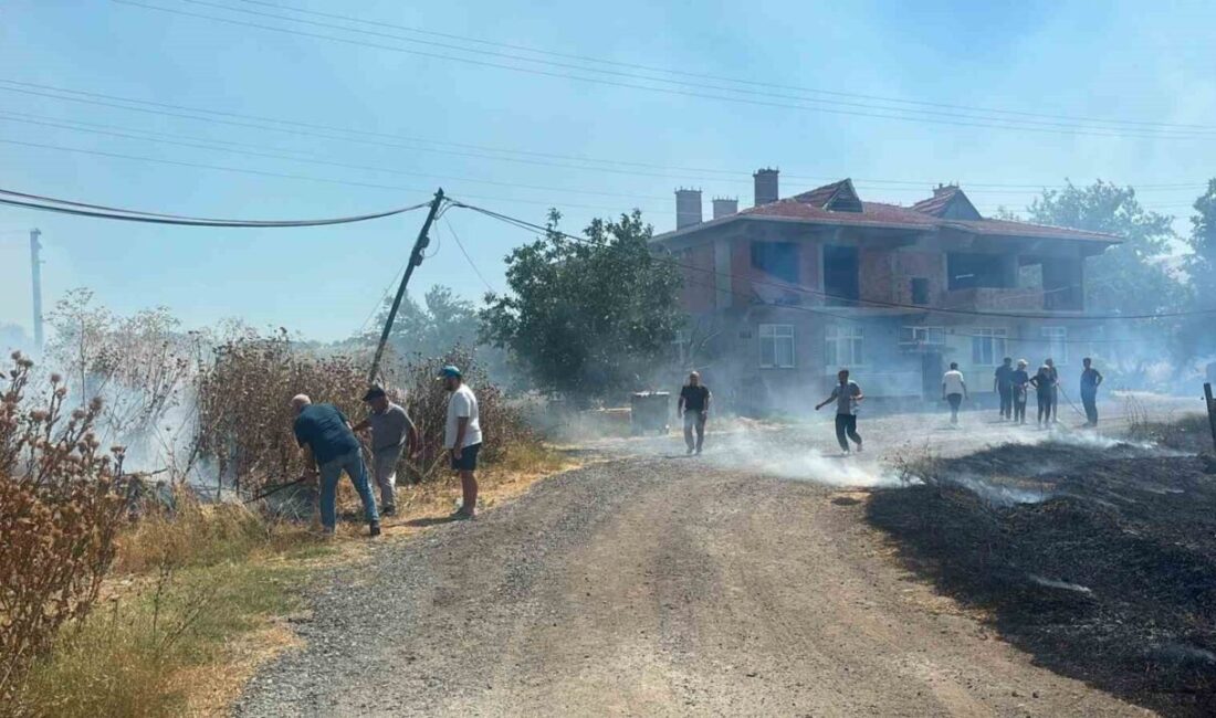 Kırklareli’nin Lüleburgaz ilçesine bağlı Kırıkköy’de otluk alanda çıkan ve kısa