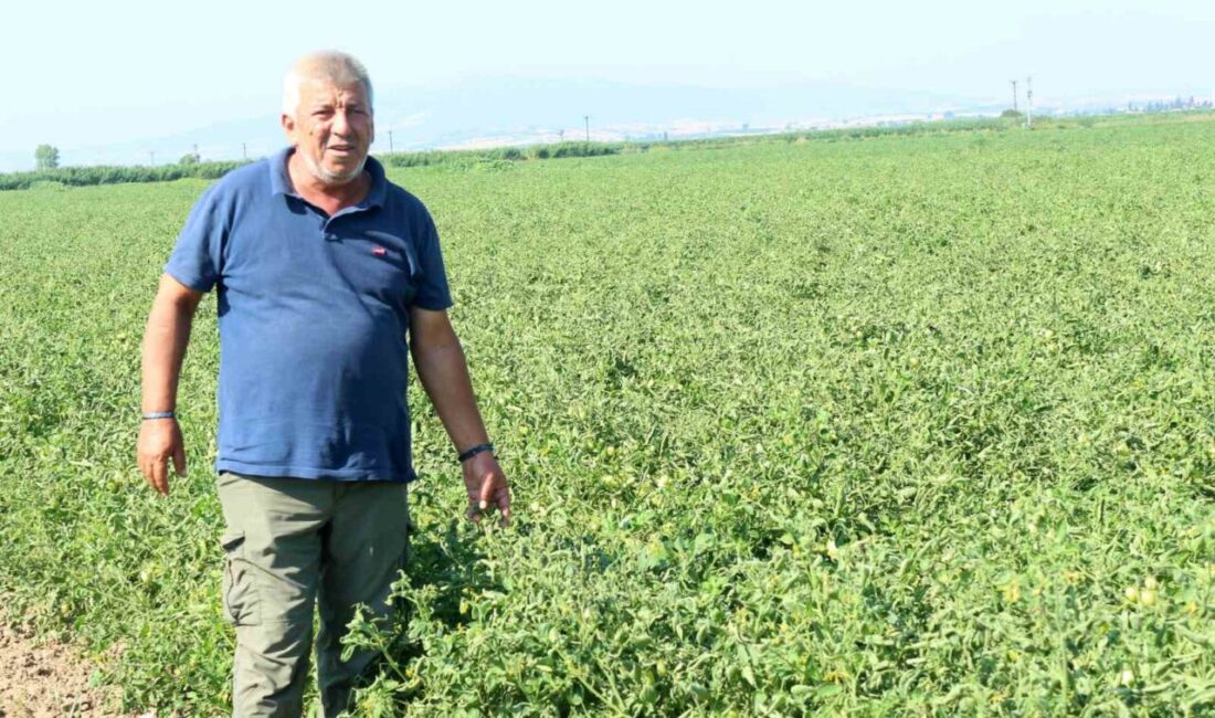 Manyas Gölü’nden gelen ilaçlı su sorununa üretici çözüm bekliyor Karacabey Ziraat Odası Başkan Yardımcısı Ramazan Düzen, 2018 yılından bu