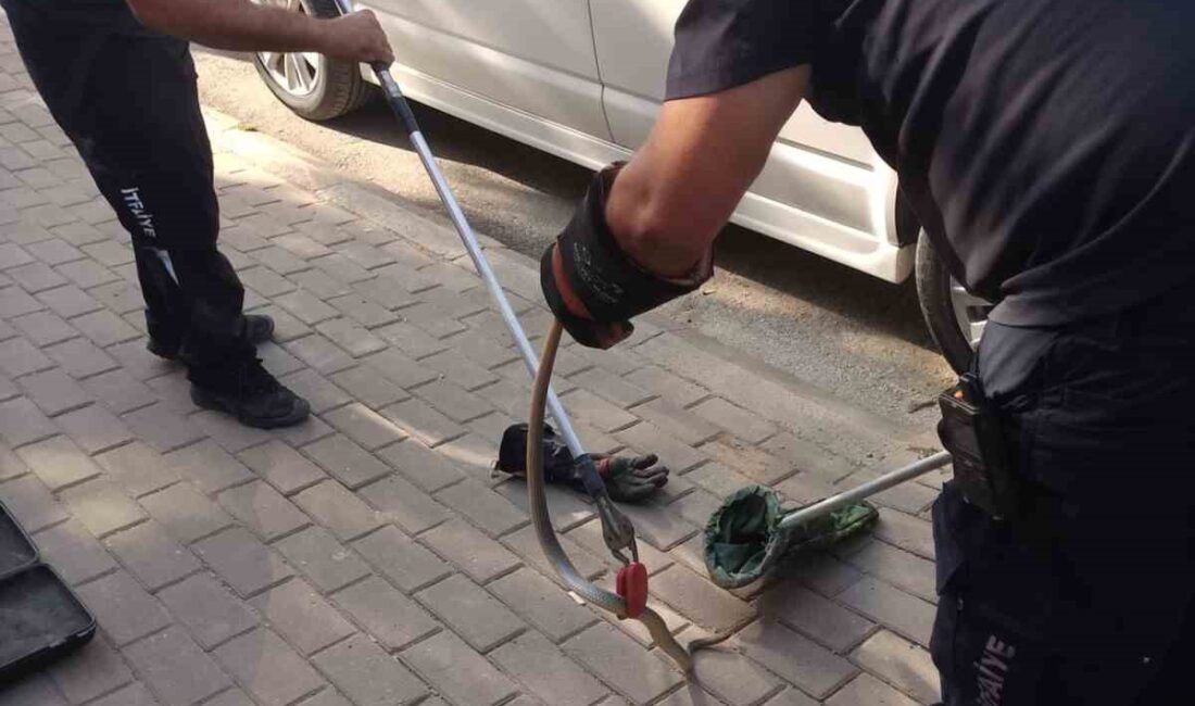 Bursa’nın İnegöl ilçesinde park halindeki bir minibüsün motor kısmına giren