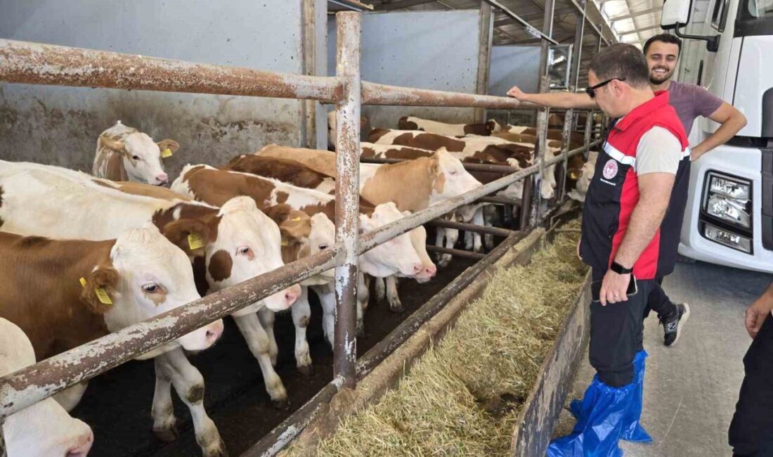 Orhaneli’de hayvan yetiştiren işletmeler kontrol edildi Bursa’nın Orhaneli ilçesinde Tarım ve Orman Müdürlüğü ekipleri hayvan yetiştiren