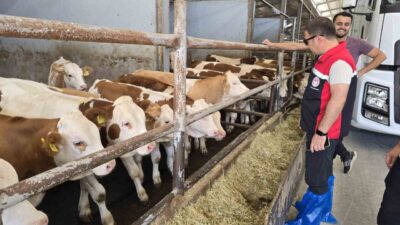 Bursa’nın Orhaneli ilçesinde Tarım ve Orman Müdürlüğü ekipleri hayvan yetiştiren