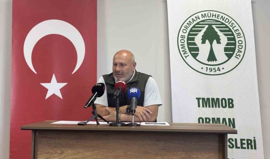 Orman Mühendisleri Odası Genel Başkanı Hasan Türkyılmaz, halihazırda devam eden