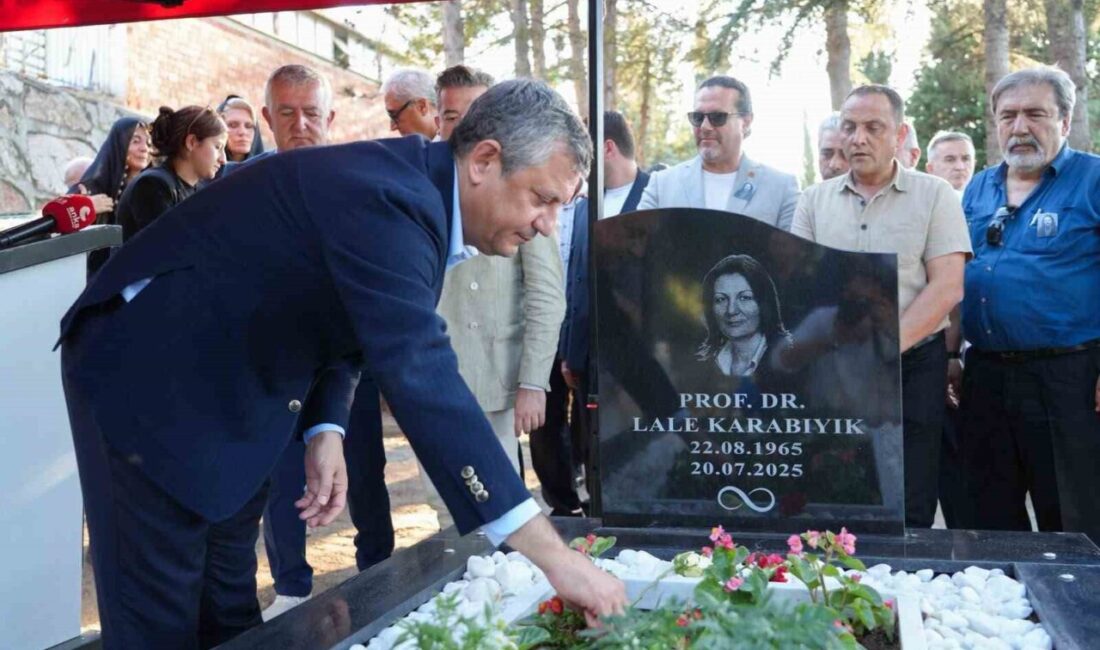 25, 26 ve 27. Dönem CHP Bursa Milletvekili Prof. Dr.