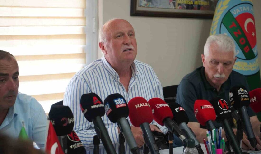 Sakarya’da fındık sezonun yaklaşmasıyla birlikte işçilerin günlük yevmiye ücretleri Sakarya