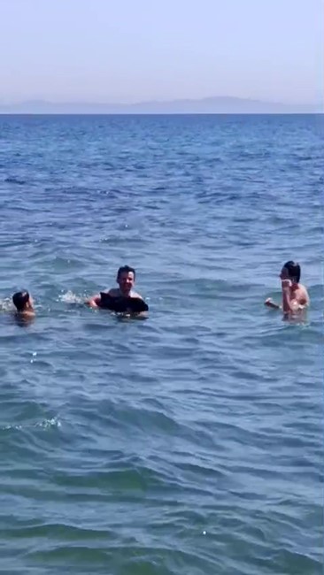 Şarköy’de denize girenlerin arasına yavru yunus daldı: Eğlenceli anlar kamerada Tekirdağ’ın Şarköy ilçesinde denizde yüzen vatandaşlar, yanlarına kadar gelen yavru
