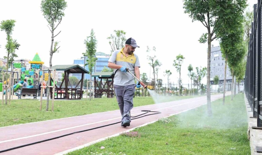 Sultangazi Belediyesi, yaz boyunca düzenli aralıklarla ilçedeki her noktada ilaçlama
