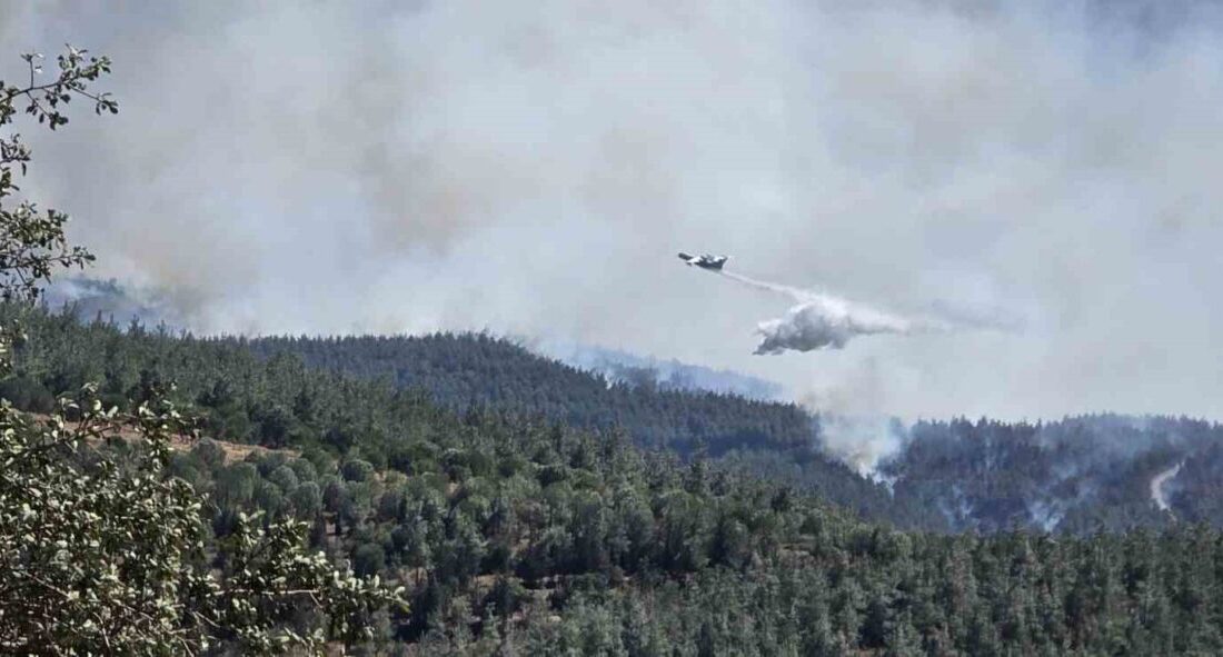 Susurluk’ta orman yangını büyüyor Balıkesir’de Gömeç ilçesinde 3 gündür devam eden yangınla mücadele sürerken,