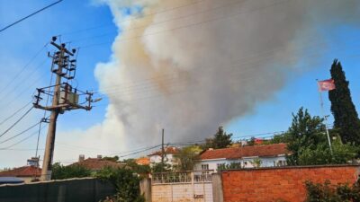 Balıkesir’in Susurluk ilçesinde çıkan orman yangınına havadan ve karadan yoğun
