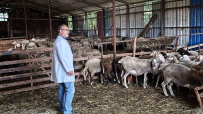 Kocaeli Büyükşehir Belediyesi, kent genelinde hayvancılıkla uğraşan üreticilere yönelik hibe