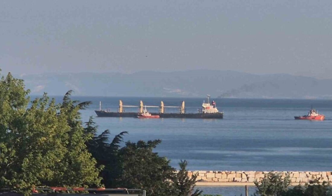 Tekirdağ açıklarında 4 gün önce karaya oturan çeltik yüklü gemi kurtarıldı Tekirdağ’ın Süleymanpaşa ilçesi açıklarında 4 gün önce karaya oturan, çeltik