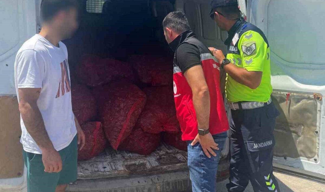 Tekirdağ’da 700 kilogram kaçak midye ele geçirildi Tekirdağ’ın Malkara ilçesinde otoyolda gerçekleştirilen denetimlerde, nakil belgesi bulunmayan ve