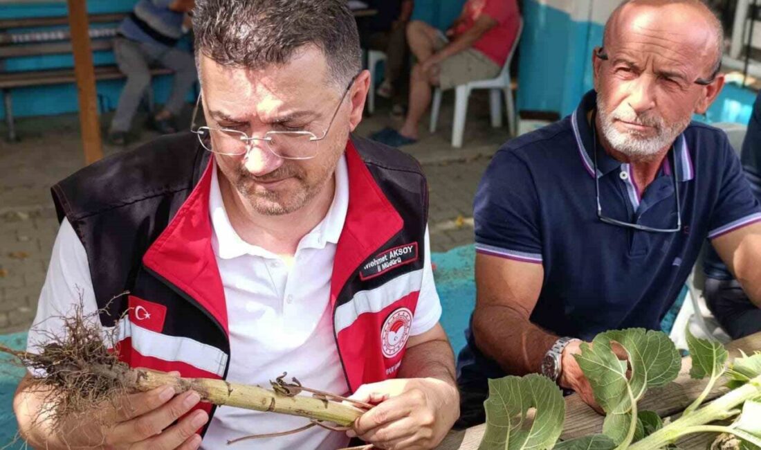 Tekirdağ’da dolunun vurduğu köylerde hasar tespit çalışmaları sürüyor Tekirdağ’da etkili olan dolu yağışının ardından başlatılan hasar tespit çalışmaları