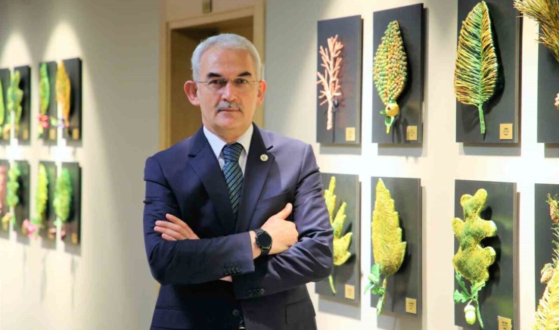Türkiye’ye lavanta ihracatı ile 5 yılda ekosisteme 765 bin dolar döviz girdisi sağlandı Orman Genel Müdürlüğü, Türkiye ormanlarında tespit edilen 9 bin 258
