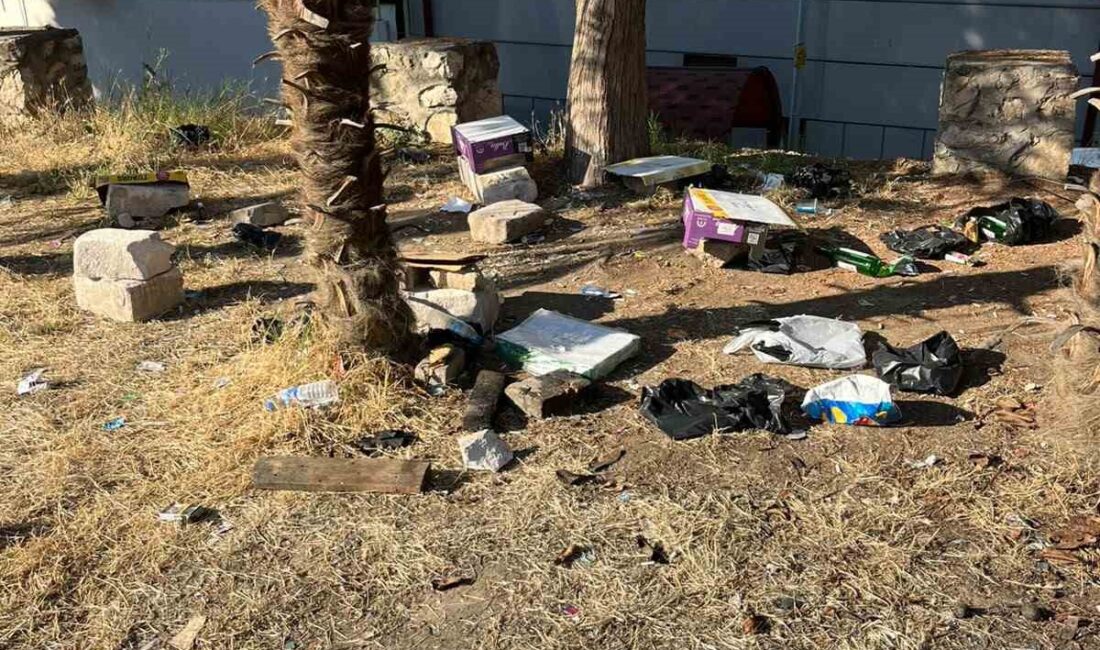 Bilecik’te 2 devlet ve 1 özel kurum arasında bulunan ağaçlık