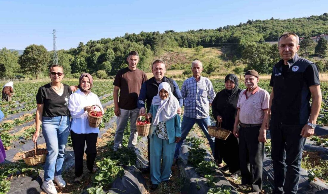 Vali Sözer, huzurevi sakinleriyle çilek hasadı yaptı Bilecik Valisi Faik Oktay Sözer, huzurevi sakinleriyle çilek hasadı yaptı.
