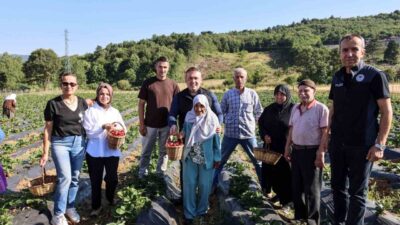 Bilecik Valisi Faik Oktay Sözer, huzurevi sakinleriyle çilek hasadı yaptı.