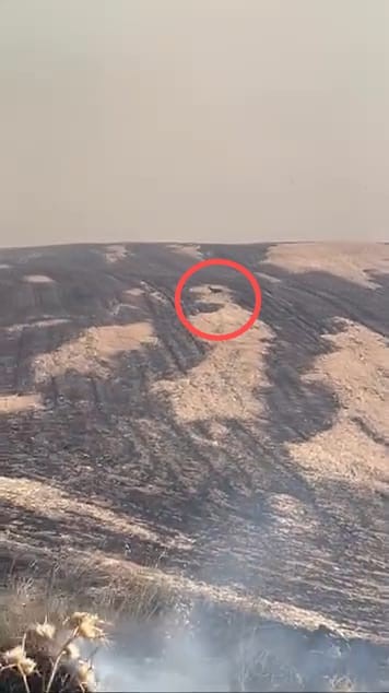 Çanakkale’de 6,5 saatte kontrol altına alınan orman yangınında yanan alandan