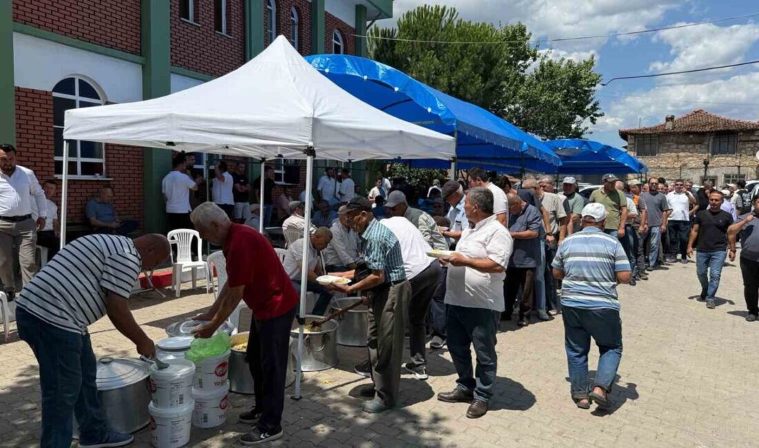 Yayaköy köyü hayrı yapıldı Çanakkale’nin Çan ilçesine bağlı Yayaköy köyünde düzenlenen geleneksel köy hayrı
