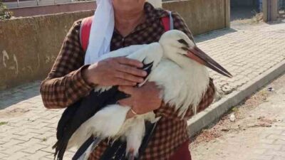 Edirne’nin İpsala ilçesine bağlı Yenikarpuzlu beldesinde yaşayan Aysel Solak, yolda