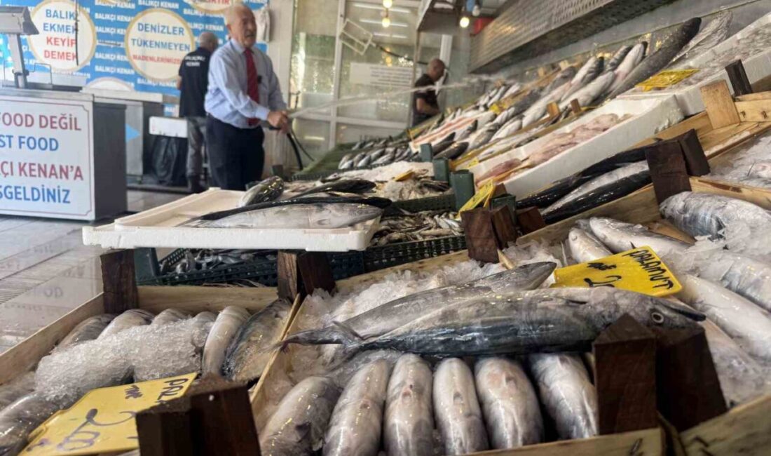 1 Eylül’den sonra denizlerde Palamut Bolluğu işareti Denizlerdeki av yasağının kalkmasına sayılı günler kala, olta balıkçılarının Marmara