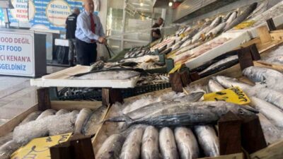 Denizlerdeki av yasağının kalkmasına sayılı günler kala, olta balıkçılarının Marmara