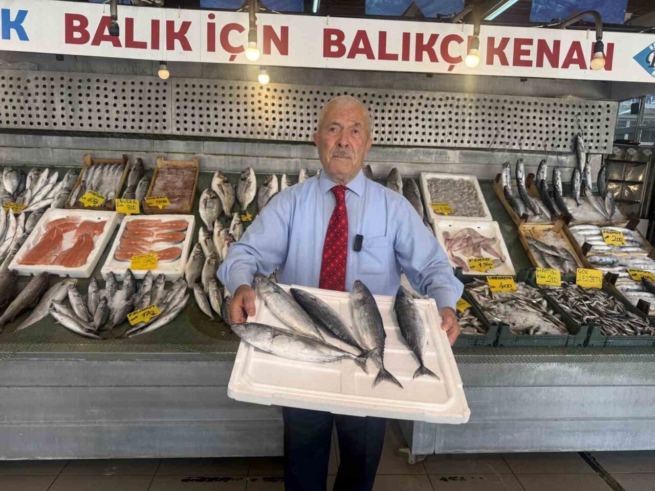 1 Eylül’den sonra denizlerde Palamut Bolluğu işareti 4 Bülten Medya -