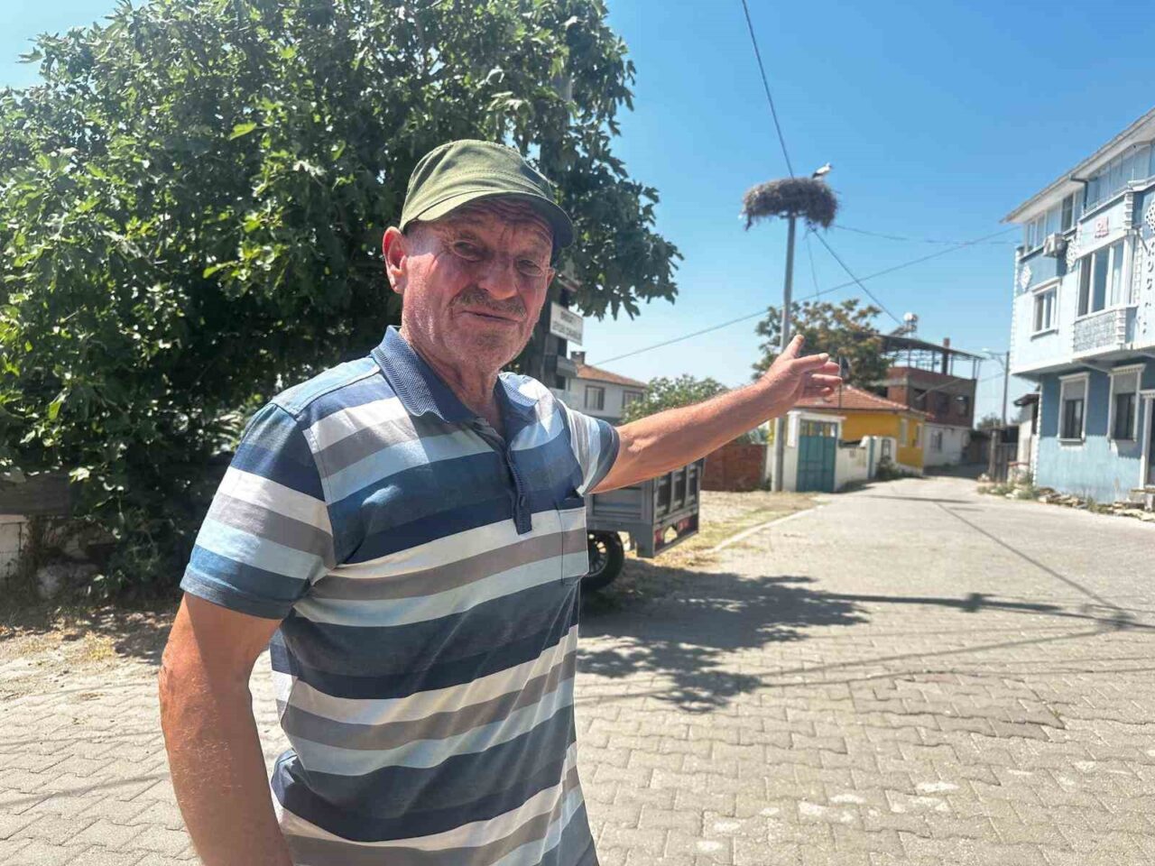 Yaren leylek yine veda hazırlığında 1 Bülten Medya -