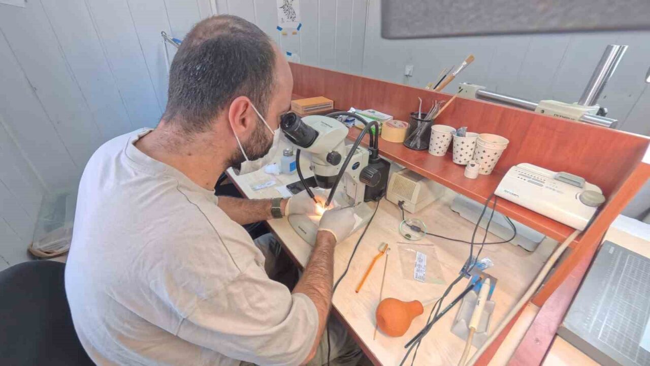 2 bin 700 yıllık Parion Antik Kenti’nde kazı çalışmaları başladı 18 Bülten Medya -