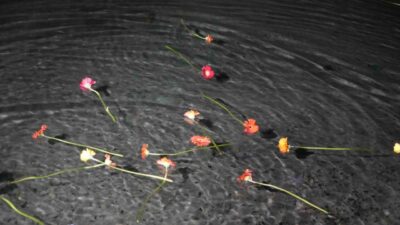 17 Ağustos 1999 Marmara Depremi’nin 27. yıl dönümünde hayatını kaybedenler,