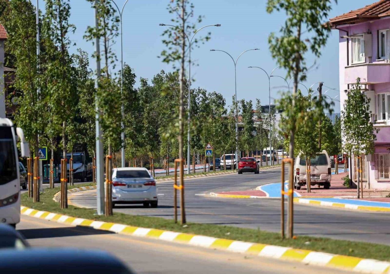 4 kilometrelik cadde üzerindeki aydınlatma çalışmaları tamamlandı 12 Bülten Medya -