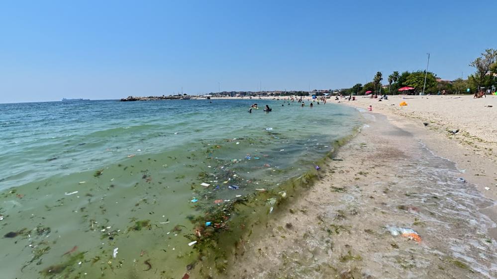Yeşilköy’de denize girenlere uyarı! İstanbul Yeşilköy sahilinde Marmara Denizi’nin kıyı kesimindeki yosunlaşma ve atık