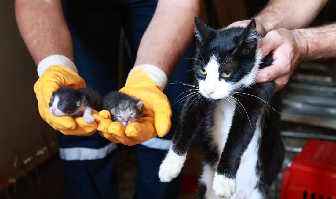 Kaçak bina yıkımında hayat kurtaran müdahale Osmangazi Belediyesi, Bursa Ovası’ndaki birinci sınıf tarım arazisine yapılan 90