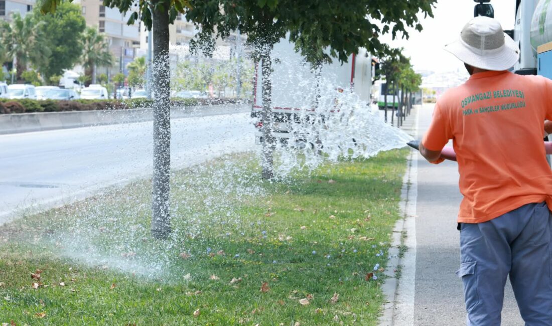 : Osmangazi Belediyesi, yaz sıcaklıklarının yeşil alanlar üzerindeki etkisini azaltmak