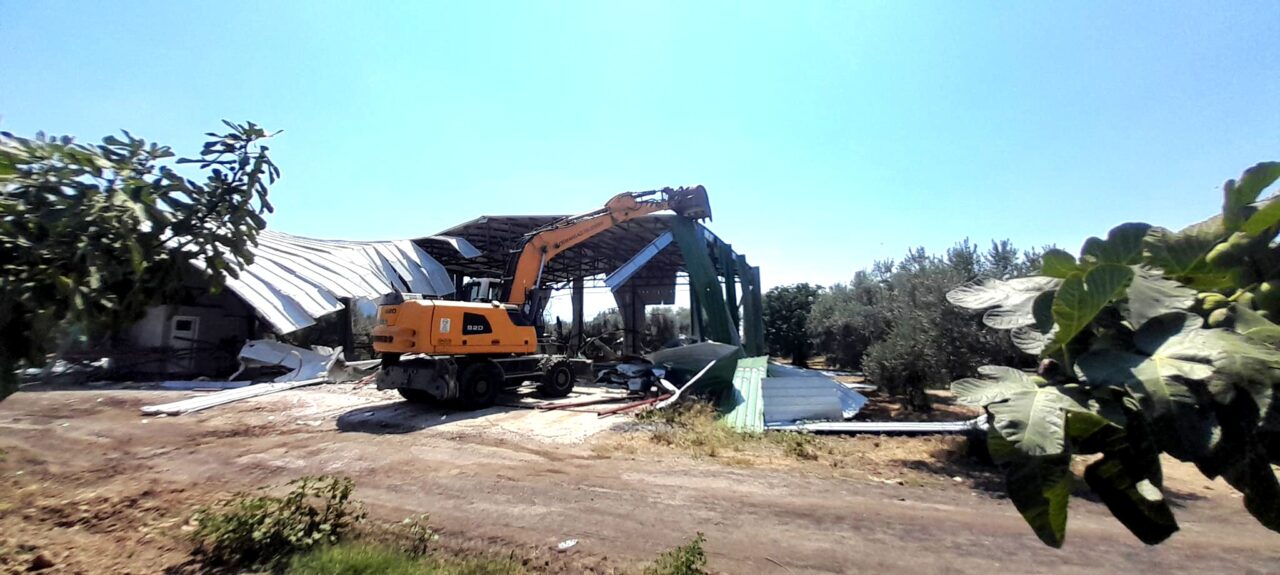 Zeytinliğe kaçak depo yapmışlardı! Yıkıldı 2 Bülten Medya -